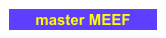 master MEEF