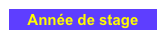 Année de stage