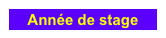 Année de stage