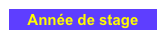 Année de stage