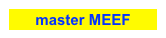 master MEEF 